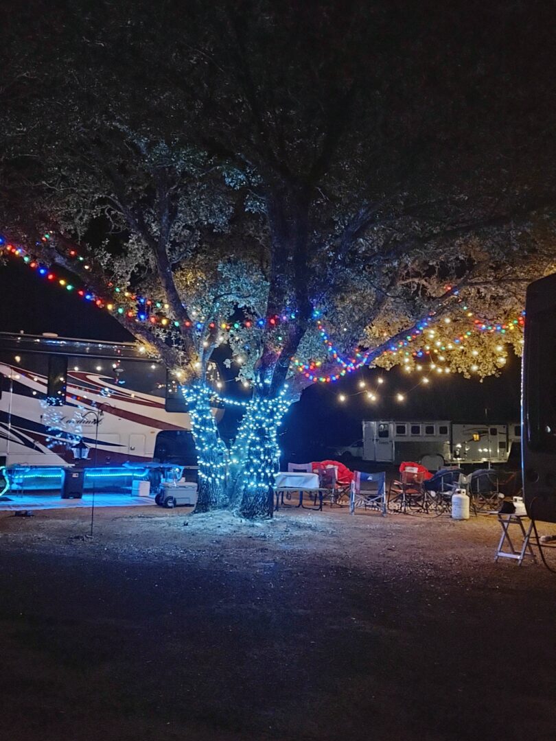 Fully Illuminated Tree